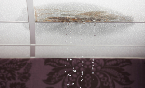 Plumber Chirnside Park